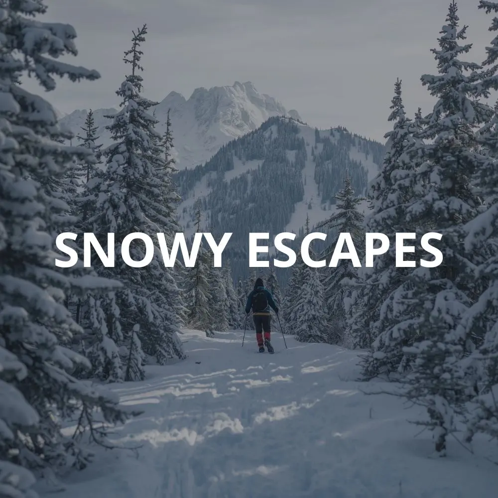 snowy escapes